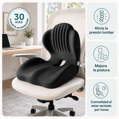 Alivia Soporte Lumbar